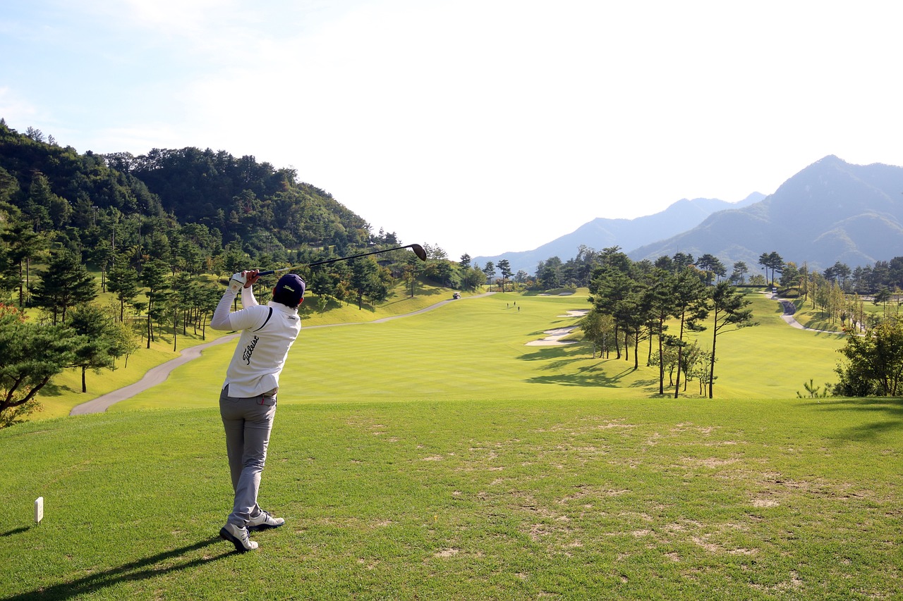 golf, green, nature, field, grass, sports, golfers, golf course, landscape, driver